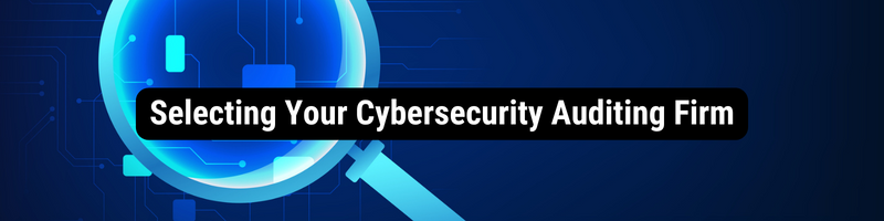 Cybersecurity audit Article Graphics (2)