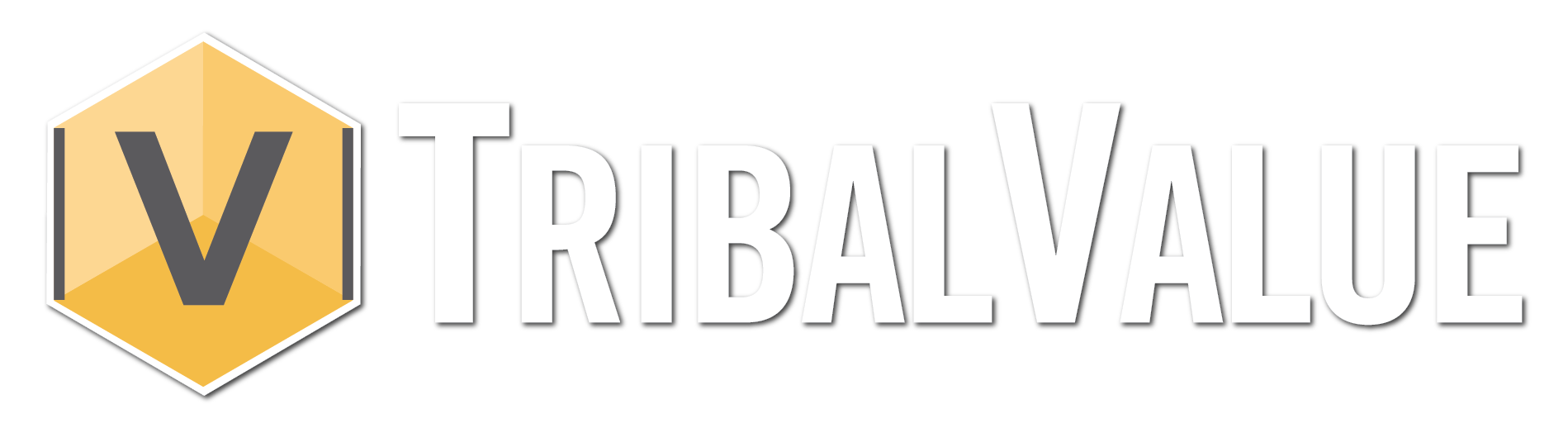 Logo_Tribal Value_Horizontal _White Text_Transparent