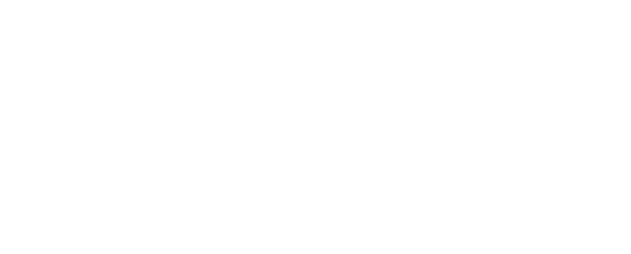 MS_Partner_rev French Microsoft Partner Partenaire
