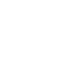 NASPL Logo