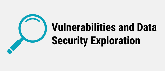 Vulnerabilities and Data Security Exploration