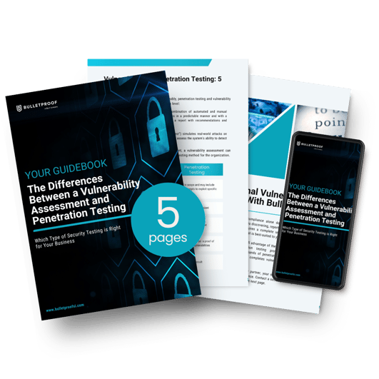 Vulnerability Testing