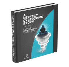 eBook_A Perfect Cybercrime Storm-1