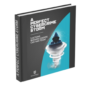 eBook_A Perfect Cybercrime Storm-1
